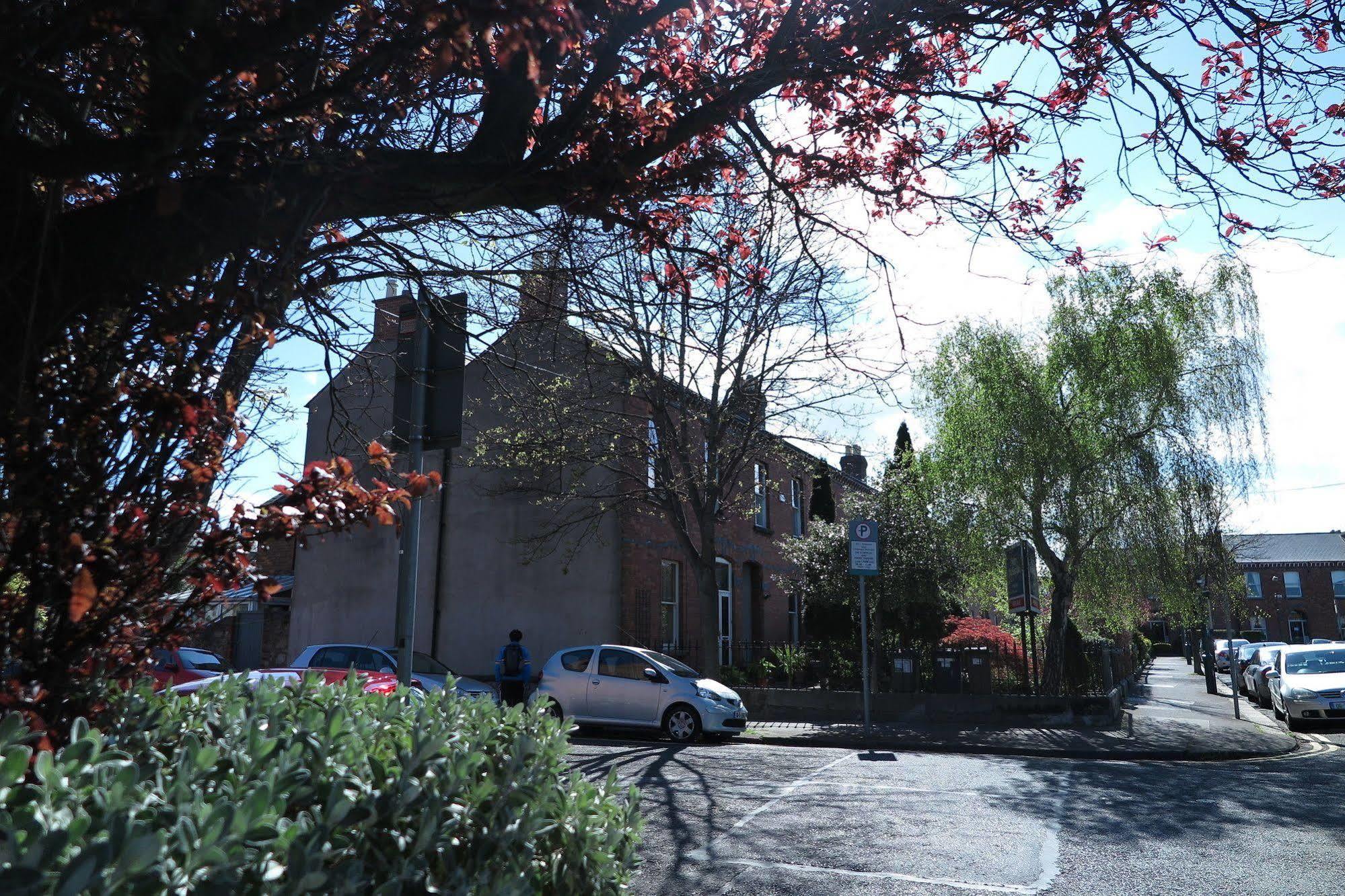 The Dublin Viking'S Place. Esterno foto